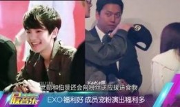 韩娱大爆料天涯影院视频,天涯影院视频揭秘娱乐圈不为人知的一面